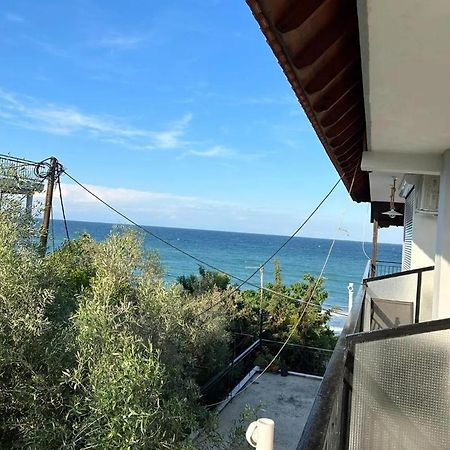 Xristina Appartment Πλάκα Λιτόχωρου Εξωτερικό φωτογραφία