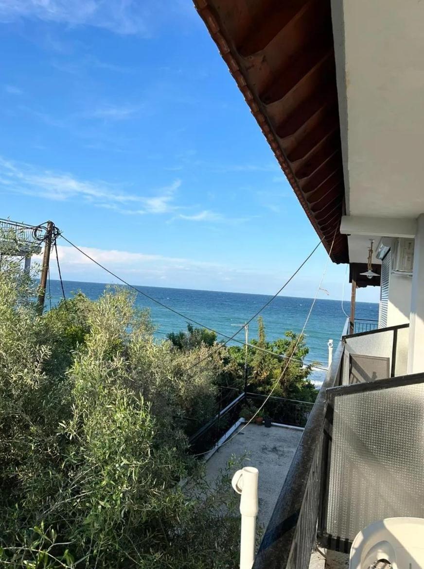 Xristina Appartment Πλάκα Λιτόχωρου Εξωτερικό φωτογραφία